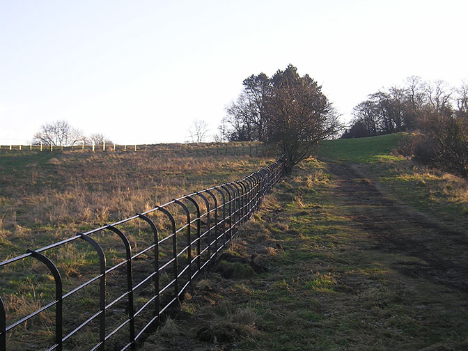 galvanized and polyester powder coated mild steel estate railings which are complaint with BS 1722 Part 9