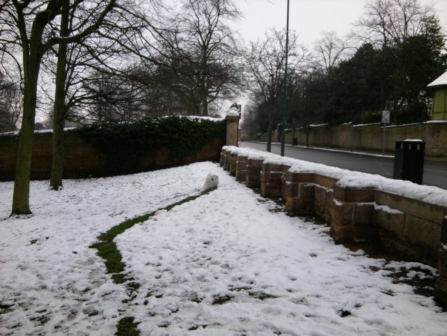 Forest road recreation ground - survey stage