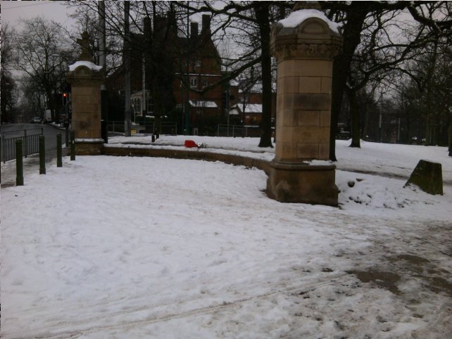 Forest road recreation ground - survey stage