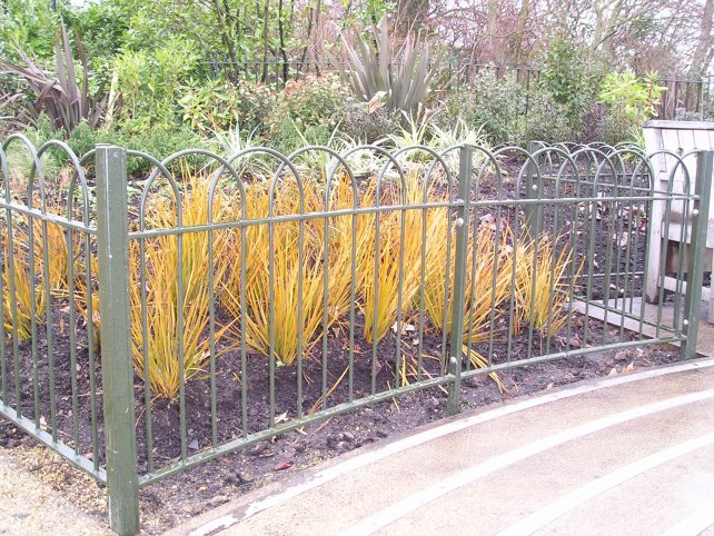 galvanized and powder coated bow top railings mild steel