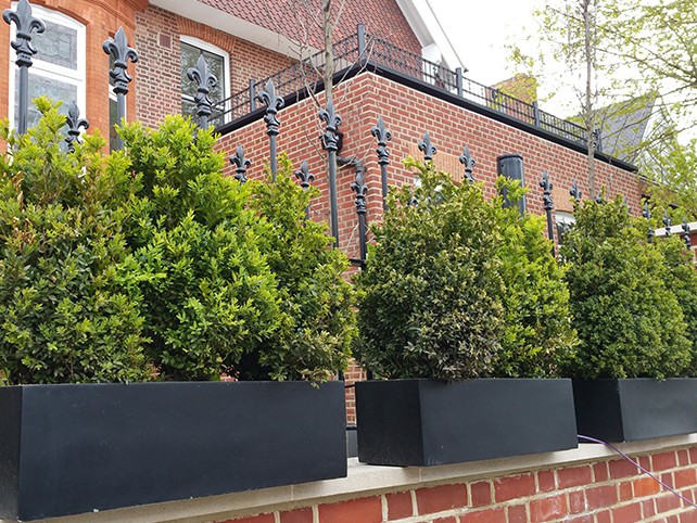 Metal railings with decorative finial